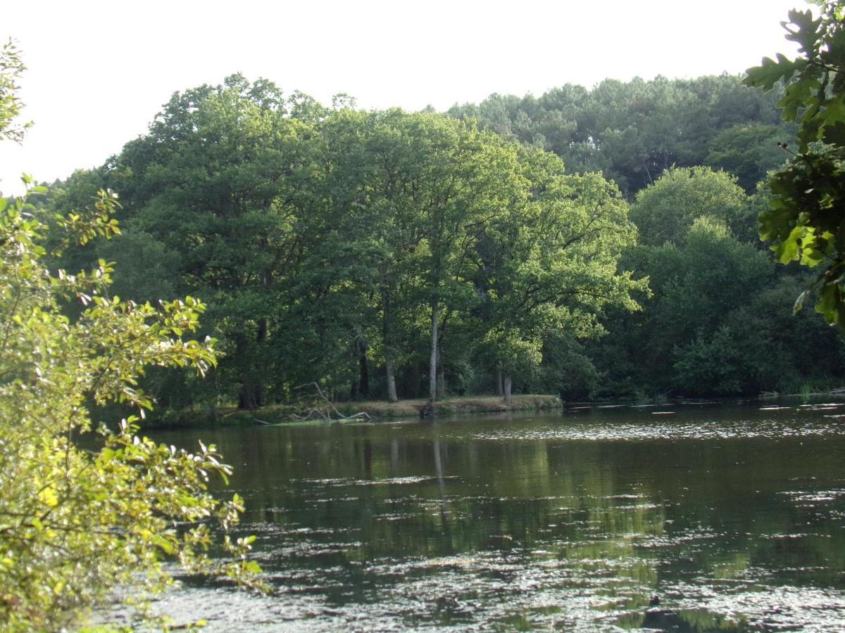 La Roulotte Chainoux Bains-sur-Oust ภายนอก รูปภาพ